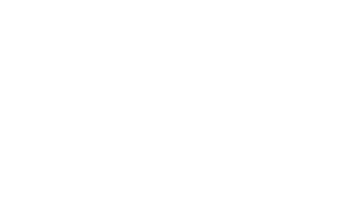 International Institute for Active Ageing